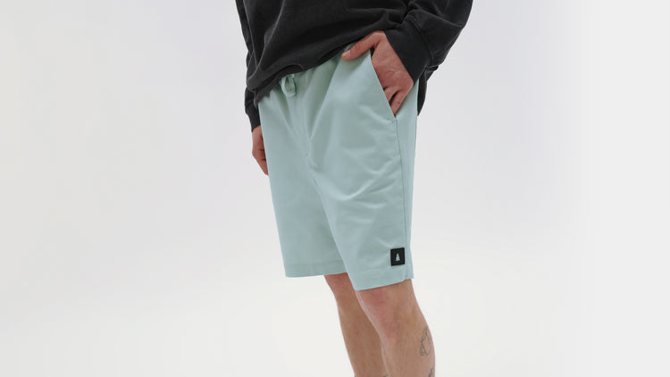 All Day Heavy Weight Chino Shorts